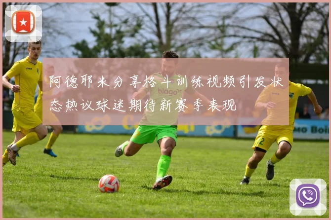 阿德耶米分享格斗训练视频引发状态热议球迷期待新赛季表现
